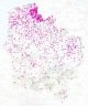 mviewer